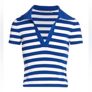 Alice And Olivia Daralee Stripe Fitted Polo Pullover Sweater